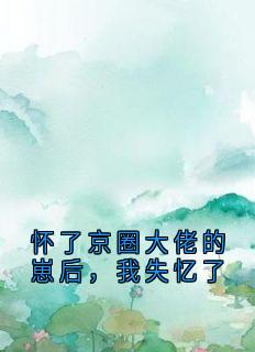 怀了京圈大佬的崽后，我失忆了