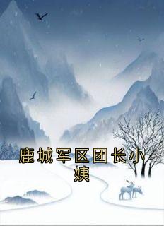 鹿城军区团长小姨