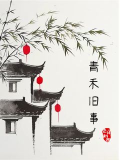 青禾旧事