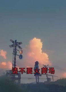 请不要火葬场