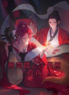 惊鸿错，冷月照孤舟