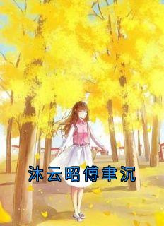 沐云昭傅聿沉