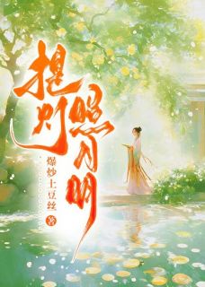 提灯照月明