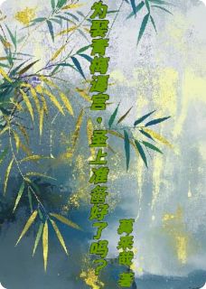 为娶青梅逼宫，圣上准备好了吗？
