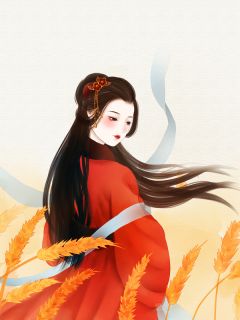 心血为引，十年霜雪