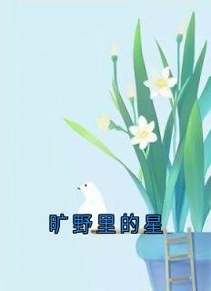 旷野里的星