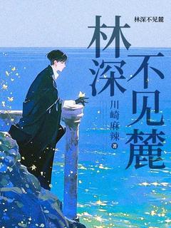 林深不见麓