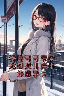 我的哥哥宋景成到孤儿院来接我那天