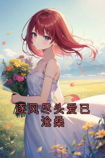 逐风尽头爱已沧桑