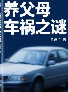 养父母车祸之谜