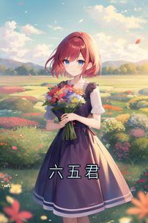 六五君