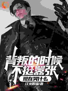 想阴我？我以武力来镇压