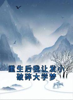 重生后我让发小破碎大学梦