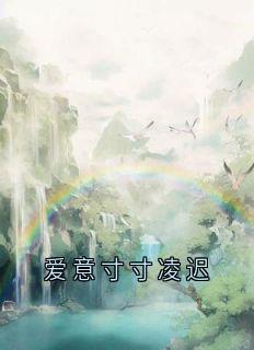 爱意寸寸凌迟