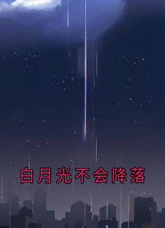 白月光不会降落