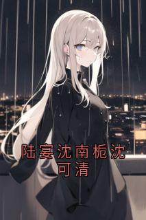 陆宴沈南栀沈可清