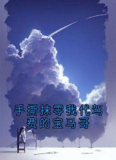 手撕抹零我代驾费的宝马哥