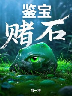 鉴宝赌石