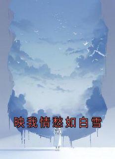 映我情愁如白雪