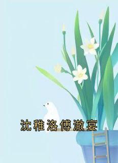 沈稚洛傅澈宴