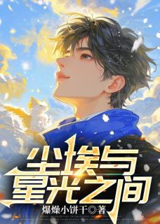 尘埃与星光之间