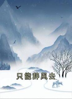 只能辞风去