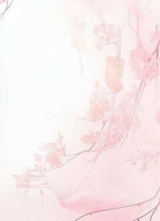 木槿花开