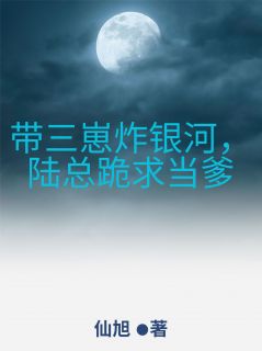 带三崽炸银河，陆总跪求当爹