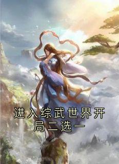 进入综武世界开局二选一