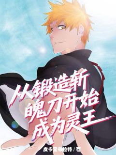 从锻造斩魄刀开始成为灵王