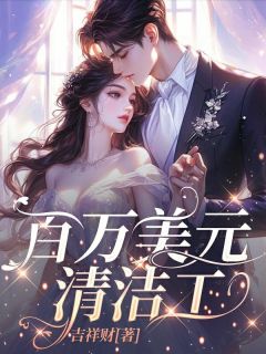百万美元清洁工