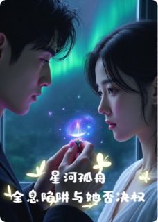 星河孤舟：全息陷阱与她否决权