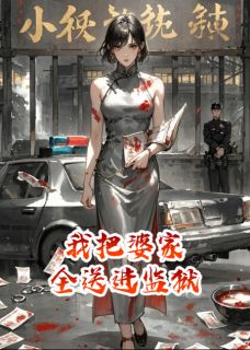 我把婆家全送进监狱