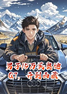 男子15万买奥迪Q7，开到西藏高原