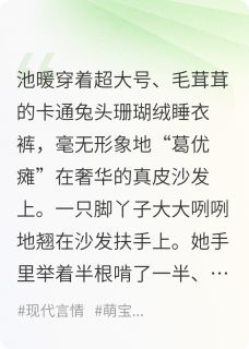 腹黑小白兔攻略正人君子