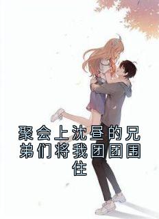 聚会上沈昼的兄弟们将我团团围住