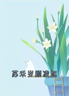 苏禾岁顾凌旭