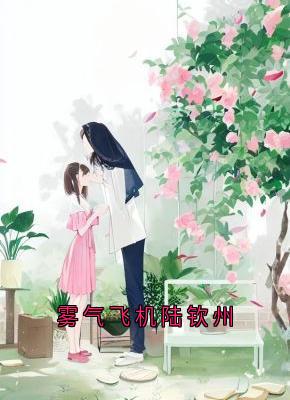 雾气飞机陆钦州