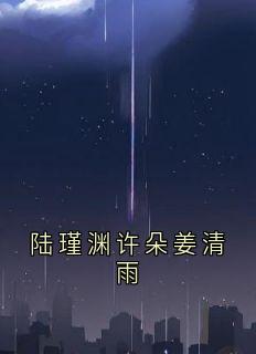 陆瑾渊许朵姜清雨