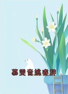 慕雯音姚睿辞