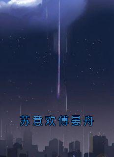 苏意欢傅晏舟