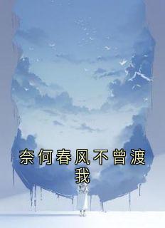 奈何春风不曾渡我
