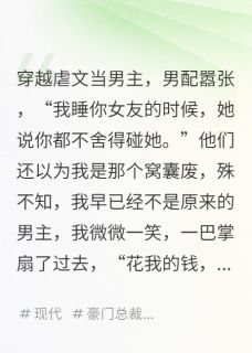 穿越虐文当男主，我当爽文刷