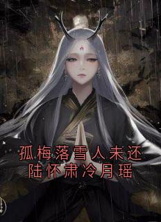 孤梅落雪人未还陆怀肃冷月瑶