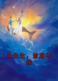 沈先生，逾期不候
