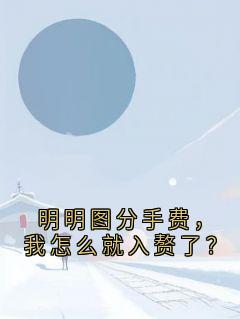 明明图分手费，我怎么就入赘了？