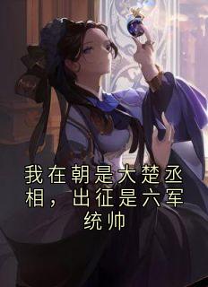 我在朝是大楚丞相，出征是六军统帅