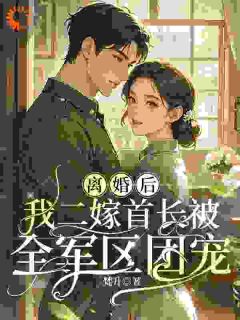 形婚骗局？离婚后我成了高官夫人