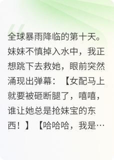 暴雨末日：我靠弹幕躺赢