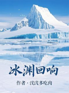 南极冰渊回响